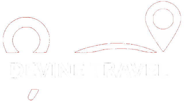 devine transfers logo
