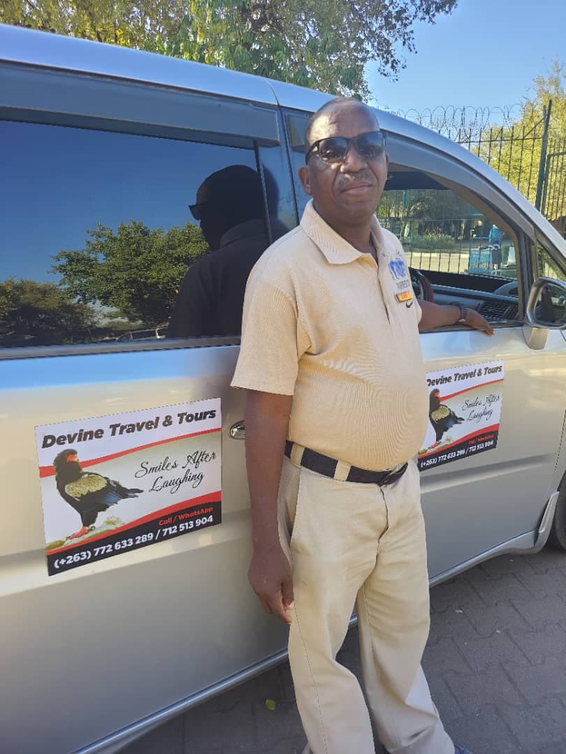 devine transfers image