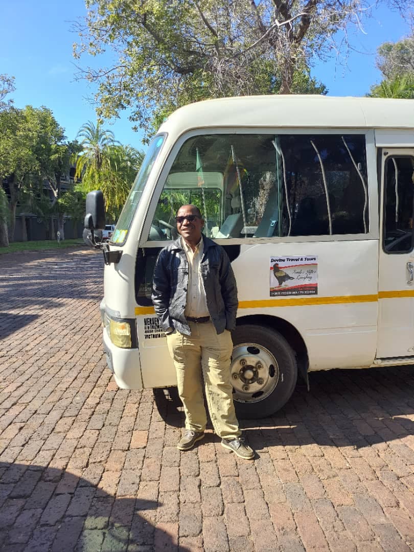 devine transfers image