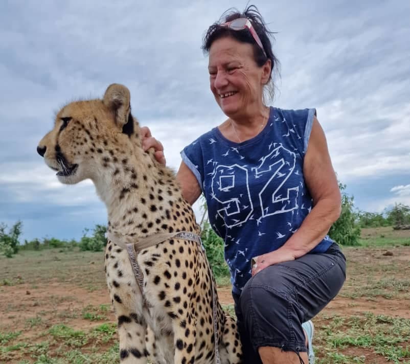 Chobe Day Trip image